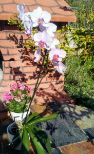 Apartments Mila & Miro