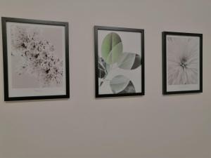 APARTIA Křenová, Brno-center