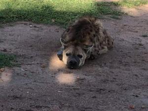 WE4Kenya Guesthouses