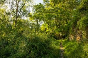 Casa Rural El Huerto de la Fragua