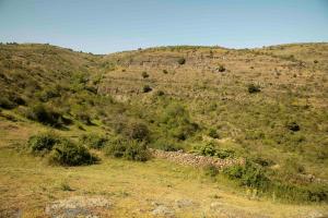 Casa Rural El Huerto de la Fragua