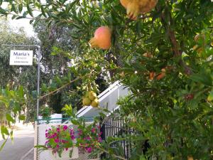 Maria's House Thassos Greece