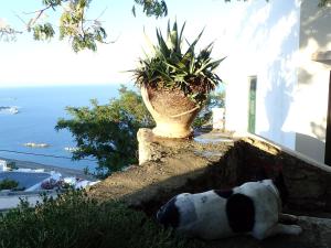 Eastern Wind Home Skyros Greece