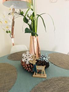 Appartements Le Belpierre : photos des chambres