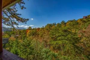 Ladybug Resort Romantic Cabin With Mountain Views, Game Room, Close to Dollywood - Williamsburg