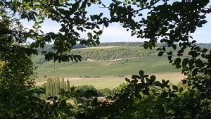 Maisons de vacances Gite Enjoy En Champagne au milieu des vignes : photos des chambres