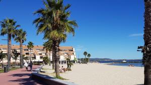 Appartements Le Sud sur Plage : photos des chambres