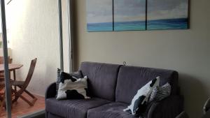 Appartements Le Sud sur Plage : photos des chambres