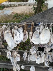 Appartements Adopt'ile : photos des chambres