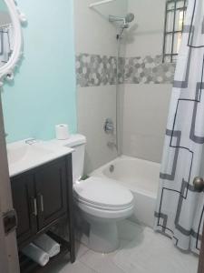 Raine’s studio and more