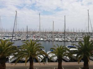 T2 sur le port avec parking