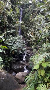 Mirador Las Marcadas