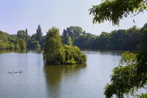 Appart'hotels Residence Les Rives de la Fecht - Colmar Ouest : photos des chambres