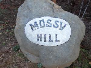Mossy Hill Suite