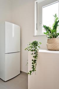 GuestHost - Urban House Carducci - Studios