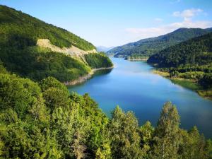 PENSIUNEA IZVORUL BUCURIEI