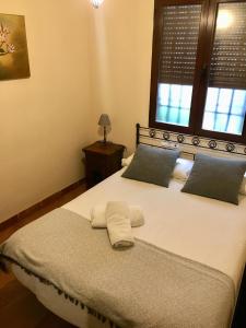 El Balcón del Albaicín