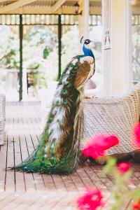 Dalblair Bed & Breakfast