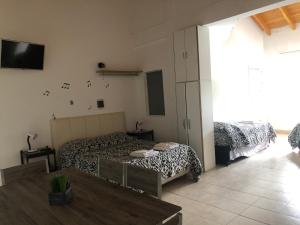 Ruffuss Apple Cipolletti