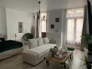 Le GREEN & PEACE Centre Historique, en face du musée du Pilori, à 2mn à pied de l'hyper centre et proche toutes commodités, WIFI-Netflix - 尼奥尔