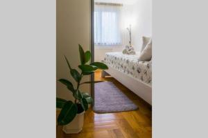 Apartment Jarun Brac