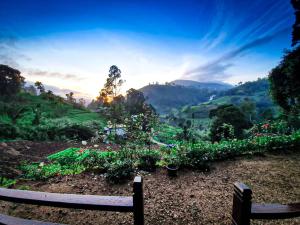 Ella 100 View Cottage