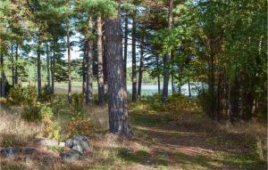 Amazing Home In Mönsterås With Kitchen