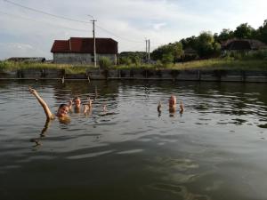 Csipkeszeg Bed & Breakfast Sic Szék Romania