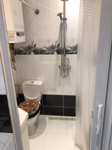 APARTAMENT W CENTRUM (STUDIO)!!!