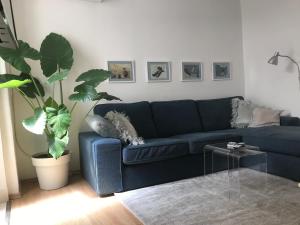 Apartment Corto