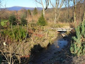 Pokoje Gościnne Dorota Andreasik