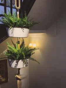 La Antigua Fonda - Hervás