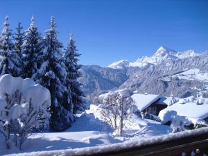 Chalets CHALET LA LICORNE 1 - pied des pistes : photos des chambres