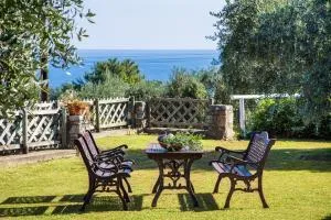 萨利姆帕拉斯旅馆 - 基尼拉