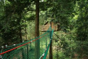 B&B / Chambres d'hotes Insolite dans les arbres Les Ormes, Epiniac : photos des chambres