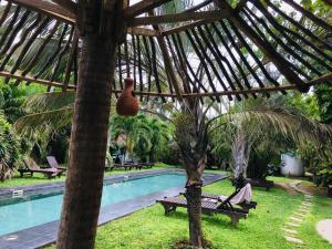 Turtle Eco Beach