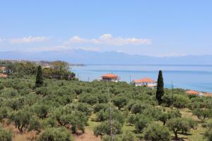XENIOS ZEUS 2 Messinia Greece