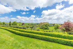 Daffodil Guest Studio - Whatawhata