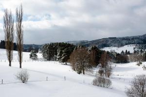 Le Moulin Malin photo 12