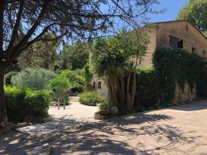 Villas Les Cypres : photos des chambres