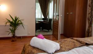 Apartament w willi Rybitwa