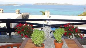 House with marvelous view