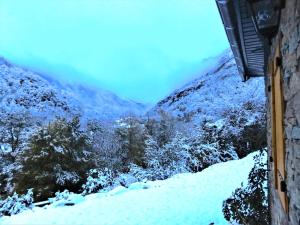 Maisons de vacances Chalet Le Bordarriben sauna & spa : photos des chambres