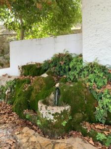 Villa Remedios
