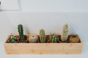 Céntrico estudio junto al Parque García Sanabria