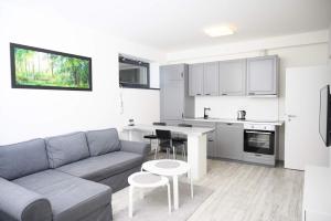 Apartment Mumlava Harrachov 1
