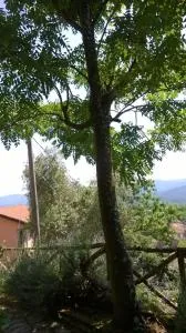 Ca' Rosmunda - Filetto