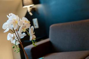 Hotels Europe Haguenau – Hotel & Spa : photos des chambres