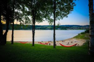 Apartment Słoneczny Gródek 51