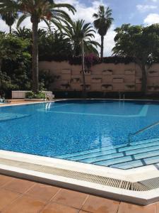 Estudio-Molino Blanco